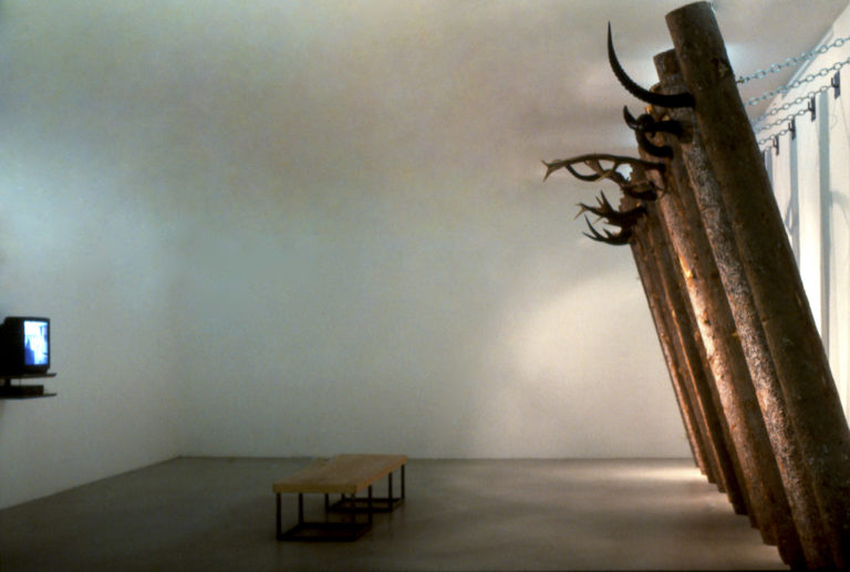 Out of Africa. 1996, Installation, tree trunks, animal horns, chains and video monitor with the film out of Africa. Kunst Hall Krems, Austria.